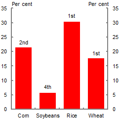 This chart shows China’s share of global production of corn, soybeans, rice and wheat. China produces over 20 per cent of global corn production (ranked 2nd), over 5 per cent for soybeans (ranked 4th), 30 per cent for rice (ranked 1st) and around 17 per cent for wheat (ranked 1st).